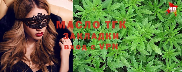 молекула духа Каменка
