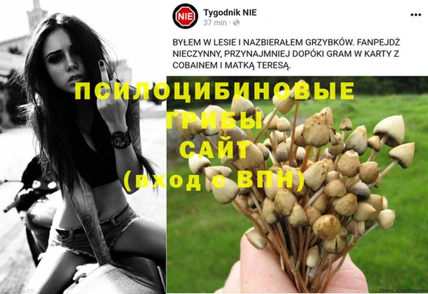 молекула духа Каменка