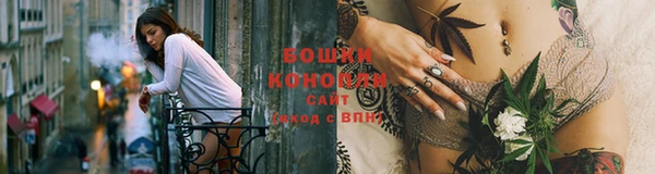 молекула духа Каменка