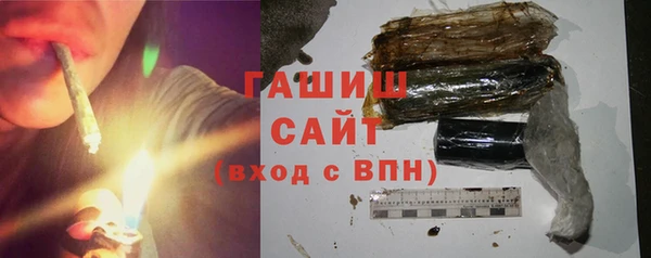 молекула духа Каменка