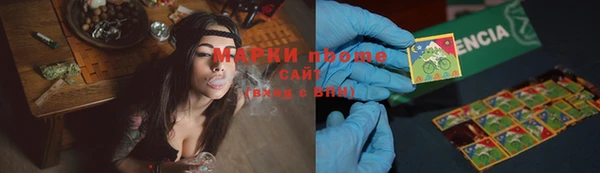 молекула духа Каменка