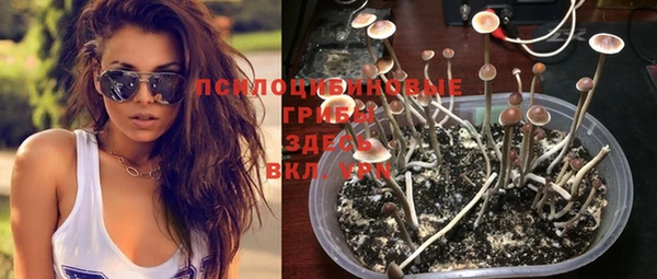 молекула духа Каменка