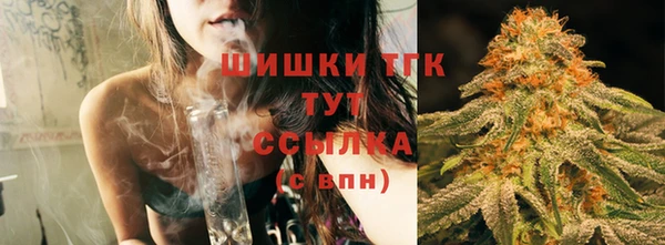 молекула духа Каменка